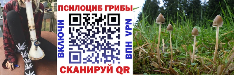 Псилоцибиновые грибы мицелий Тюкалинск
